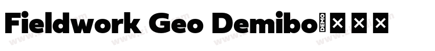Fieldwork Geo Demibo字体转换